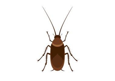 Hamamböceği renkli simge vektörü. Hamamböceği beyaz arka planda izole edilmiş. İğrenç böcek klipsi sanatı. Hamamböceği vektörü