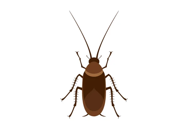 蟑螂的颜色图标矢量 蟑螂在白色的背景上被隔离了 恶心的昆虫夹艺术 蟑螂病媒 — 图库矢量图片