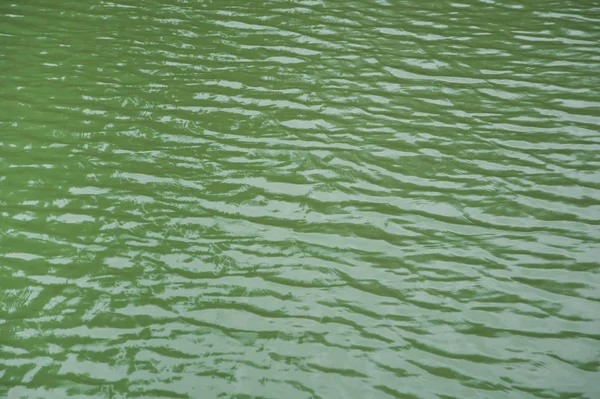 Fondo de agua lago verde —  Fotos de Stock