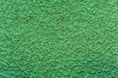 Yeşil yapısal duvar dokusu