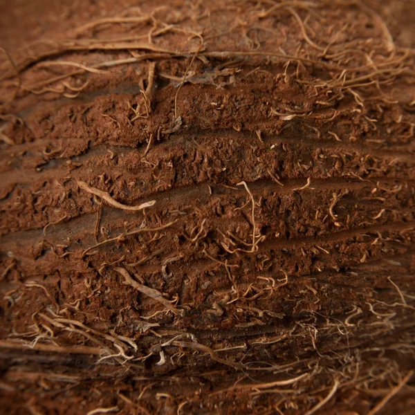 Makro-Hintergrund der Kokosnuss-Textur — Stockfoto