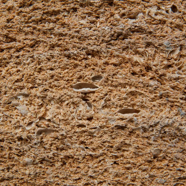 Limestone texture for background — Stock Photo, Image