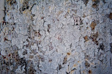 Çatlak boyanın eski grunge dokusu. Arkaplan için makro fotoğraf