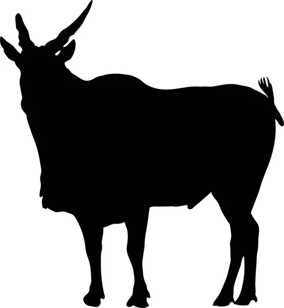 Eland Stock Vectors, Royalty Free Eland Illustrations | Depositphotos®