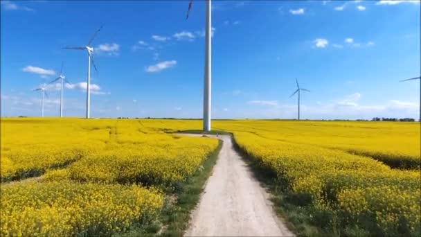 风力发电技术 能源生产的空中无人机视图 — 图库视频影像