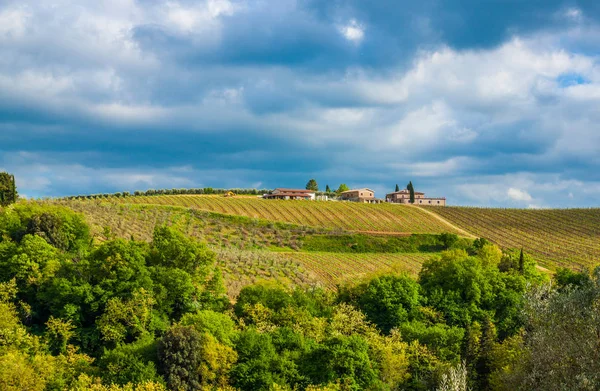 Bela paisagem na Toscana — Fotografia de Stock