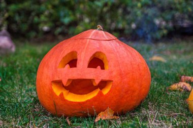 Şaşırtıcı Halloween pumpkins