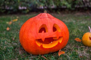 Şaşırtıcı Halloween pumpkins