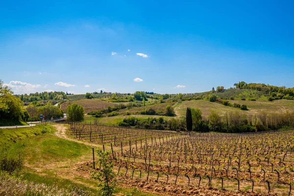 Vista Panorámica Del Paisaje Entorno Rural Toscana Italia —  Fotos de Stock