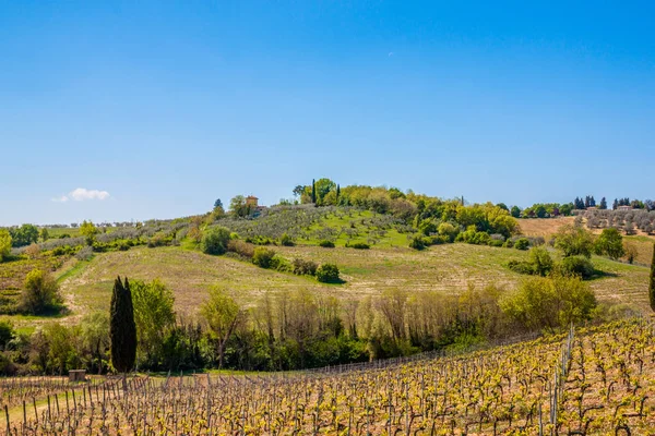 Γραφική Θέα Του Τοπίου Αγροτικό Περιβάλλον Τοσκάνη Ιταλία — Φωτογραφία Αρχείου