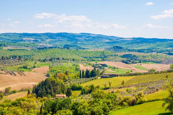 Prachtig landschap in Toscane — Stockfoto