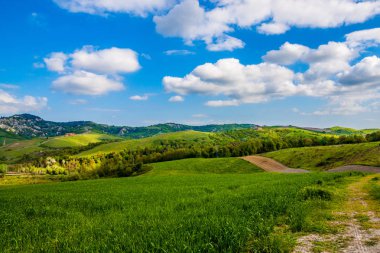 Doğal görünümü yeşil tepelerin Toskana, İtalya