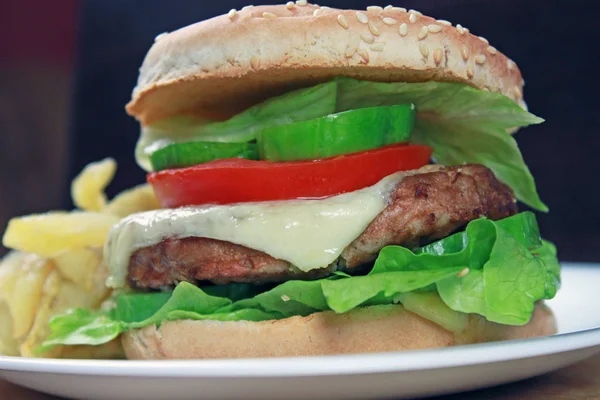 Primer Plano Sabrosa Hamburguesa Con Papas Fritas — Foto de Stock