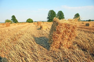 Saman yığınları doğal görünüm alanı