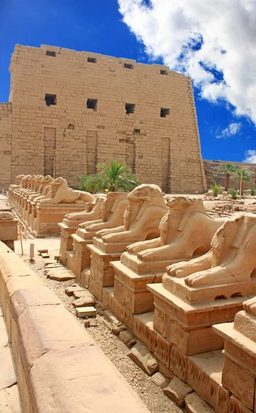 埃及卢克索古老的卡纳克神庙景观 — 图库照片