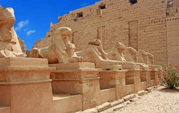 Karnak Tempel Oude Monumenten Egypte Luxor — Stockfoto