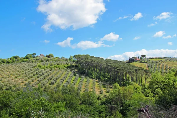 Prachtig Landschap Toscane Italië — Stockfoto
