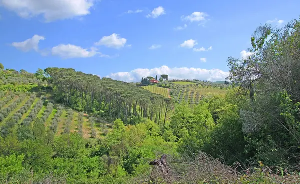 Bela Paisagem Toscana Itália — Fotografia de Stock