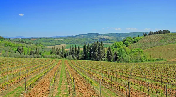 Prachtig Landschap Toscane Italië — Stockfoto