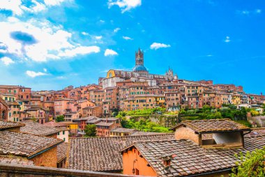 Siena, Toskana, İtalya güzel bir ortaçağ şehir toplayan