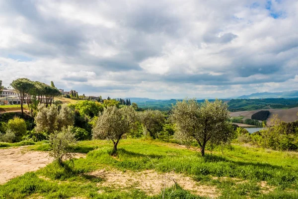 Skyline Van San Gimignano Middeleeuwse Torens Toscane Italië Europa — Stockfoto