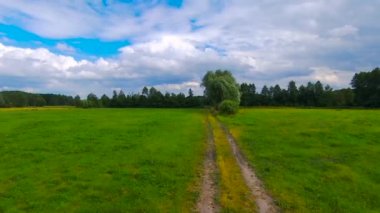 Toprak yol yeşil çayır boyunca çakıl. Yaz günü, alanın üzerinde uçuş 