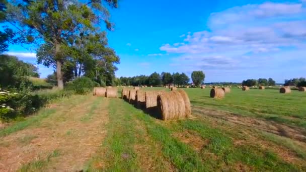 フィールドで干し草の俵を飛行 — ストック動画