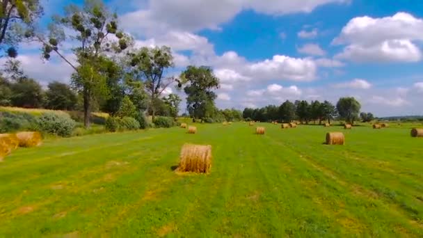 Vliegen Hooibalen Een Veld — Stockvideo