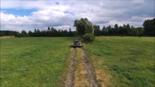 Grind Onverharde Weg Groene Weide Vlucht Veld Zomerdag — Stockvideo