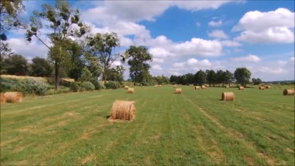 Heuballen Auf Einem Feld Überfliegen — Stockvideo