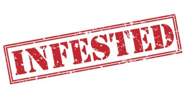 Beyaz arka plan üzerinde izole kırmızı pul dolu