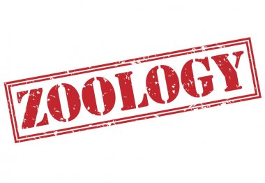 Beyaz arka plan üzerinde izole zooloji kırmızı pul