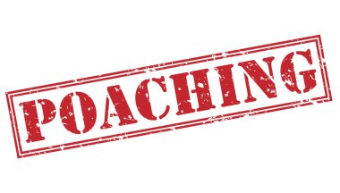 Beyaz arka plan üzerinde izole kırmızı pul kaçak avcılık