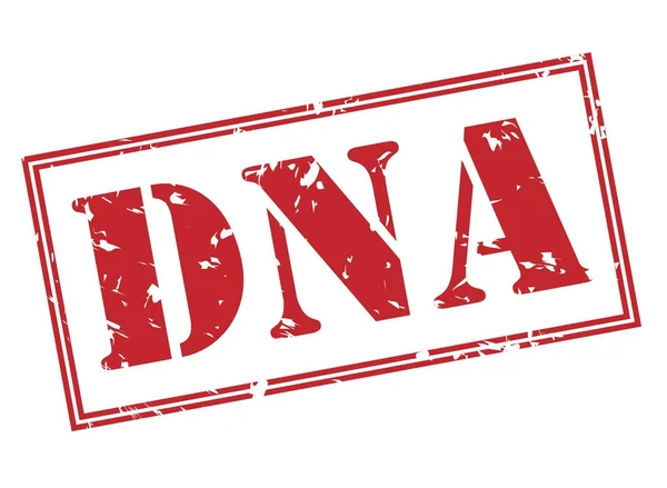 Dna Röd Stämpel Isolerad Vit Bakgrund — Stockfoto