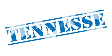 Beyaz arka plan üzerinde parça mavi pul 