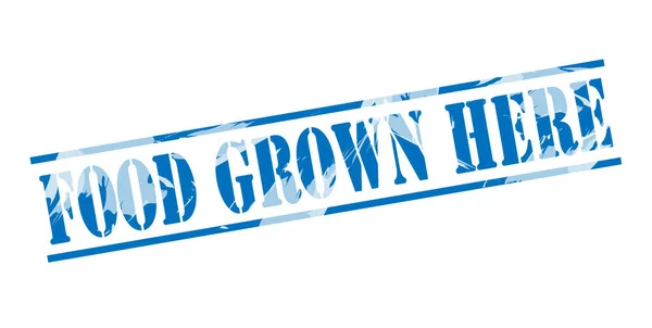 Food Grown Here Blue Stamp White Background — Stock Photo, Image