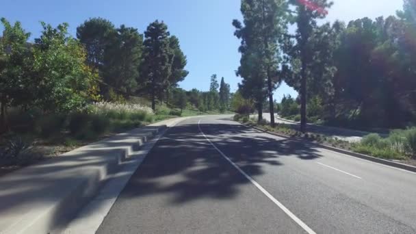 Movimiento suave de la cámara a lo largo de la carretera en el parque — Vídeo de stock