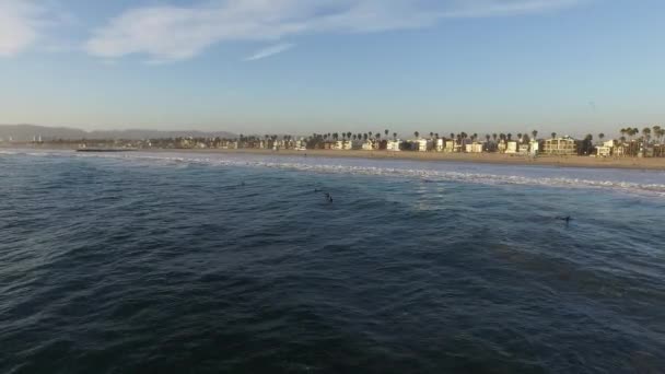 Ondas oceânicas a cair. Marina del Rey, Califórnia durante o pôr do sol — Vídeo de Stock