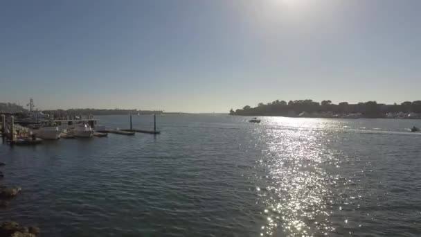 Marina del Rey Yacht Basin com barcos atracados — Vídeo de Stock