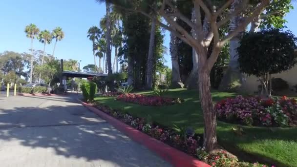 El movimiento suave de la cámara a través de los árboles en el parque — Vídeo de stock