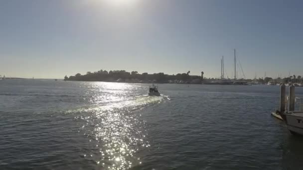 Marina del Rey yat Havzası tekneler demirli — Stok video