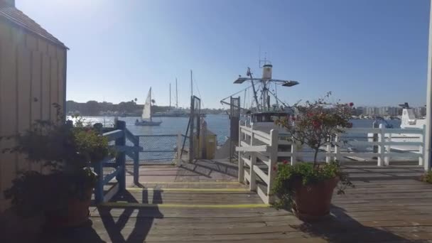 Marina Del Rey, caminando con steadicam — Vídeos de Stock