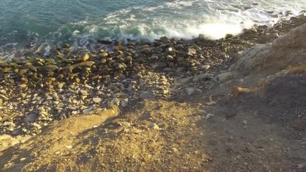 Golven gewonnen tegen kust rotsen op de rotsen — Stockvideo