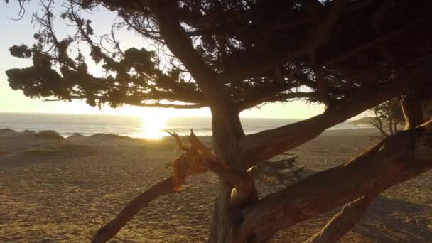 Okyanus manzarası ve Jeoloji, Malibu, Ca — Stok video