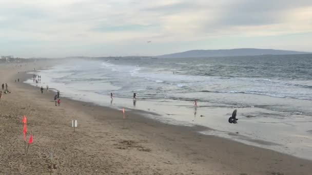 Santa Monica, CA USA - February 2017 Cruising Down Beach Sidewalk in Santa Monica — Stock Video