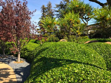 Güzel çiçekler ve ağaçlar Japon bahçe içinde