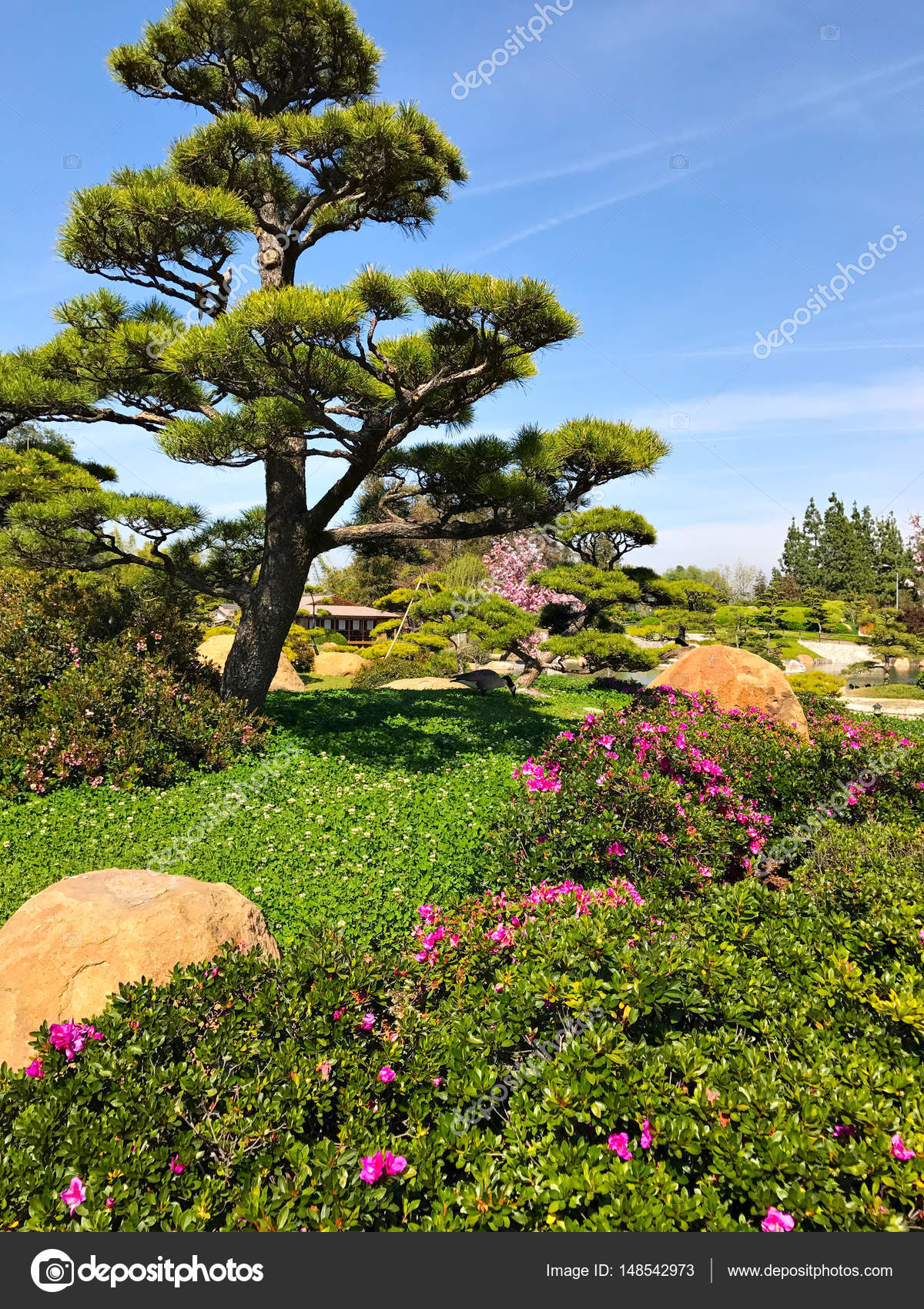 Schöne Blumen und Bäume im japanischen Garten — Stockfoto © flatbox ... Schöne Blumen und Bäume im japanischen Garten — Stockfoto © flatbox ...