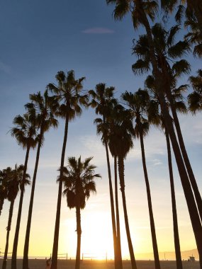 Venice Sahili, Santa Monica, Kaliforniya, ABD - 29 Şubat 2017: Venice Sahili, Santa Monica, Kaliforniya, ABD