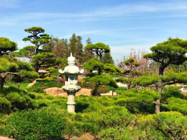 Güzel çiçekler ve ağaçlar Japon bahçe içinde