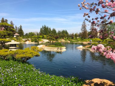 Güzel çiçekler ve ağaçlar Japon bahçe içinde